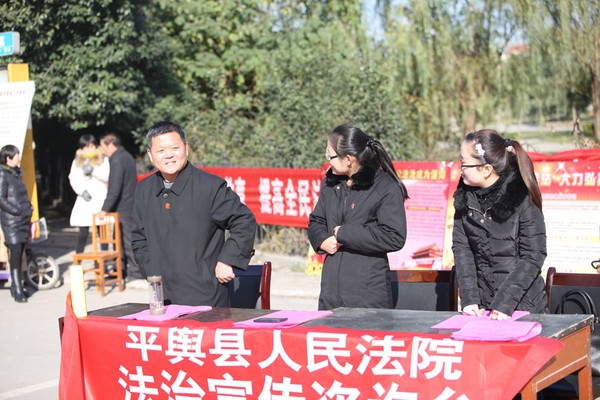 平舆县开展“全国宪法日”宣传活动