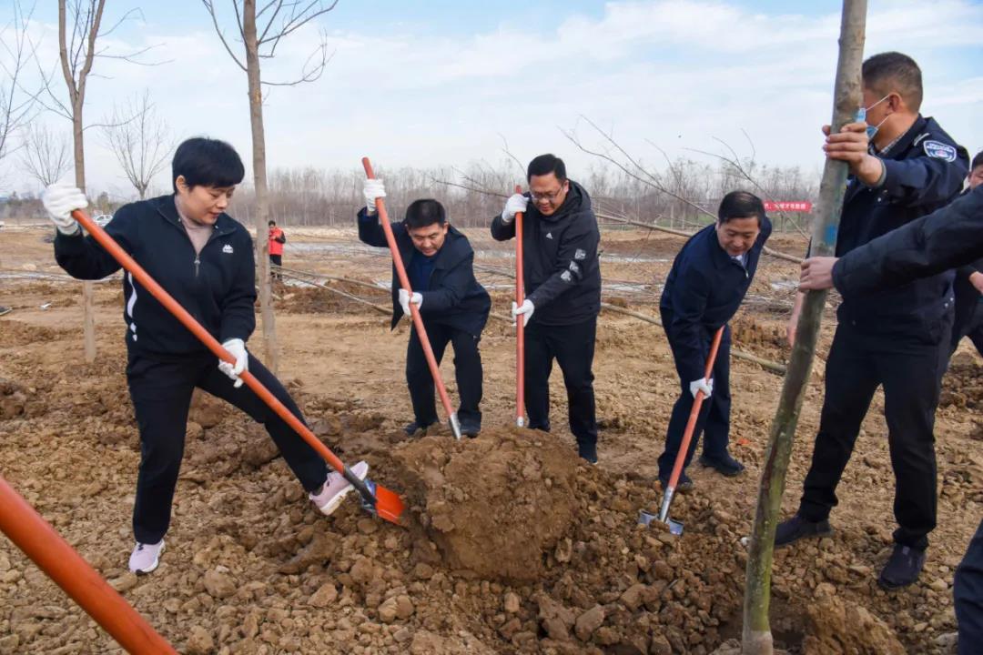 平舆县2021年冬季义务植树活动举行