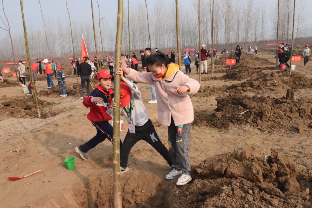 平舆县领导参加义务植树活动