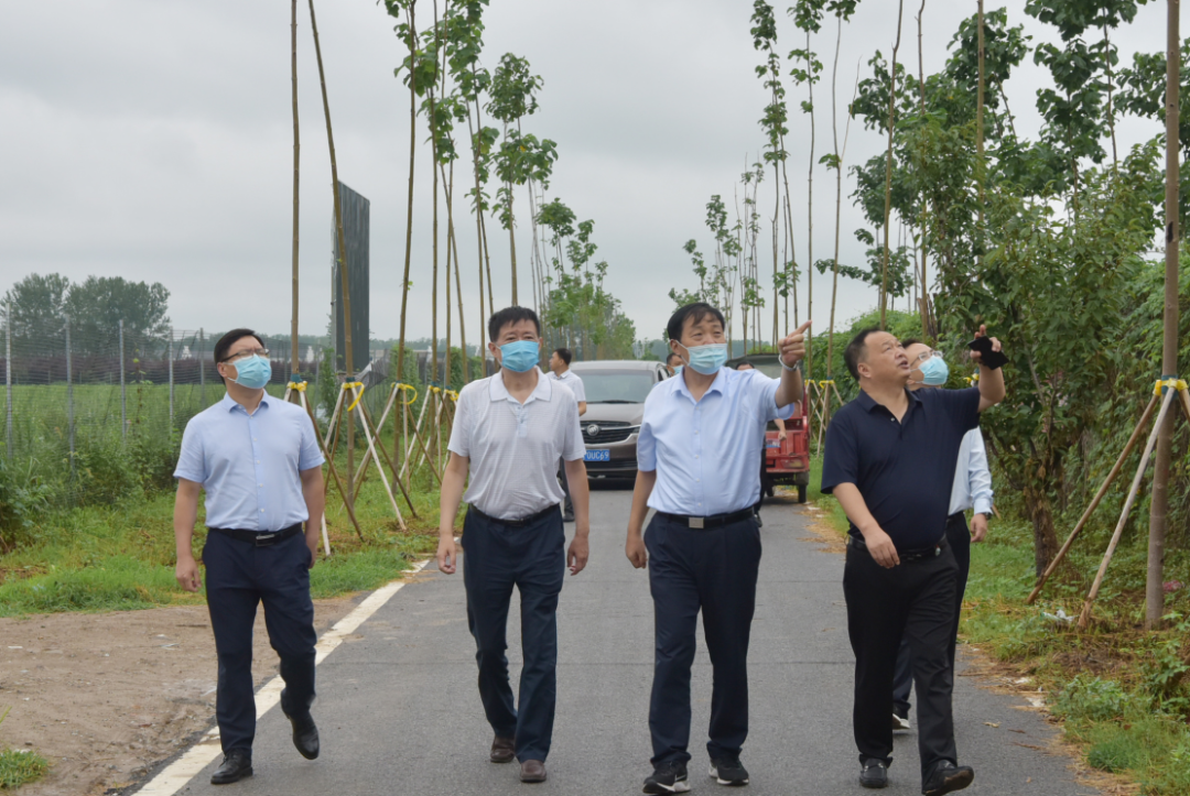 省林业局党组成员、副局长、一级巡视员李志锋到平舆县督导林业生态建设工作
