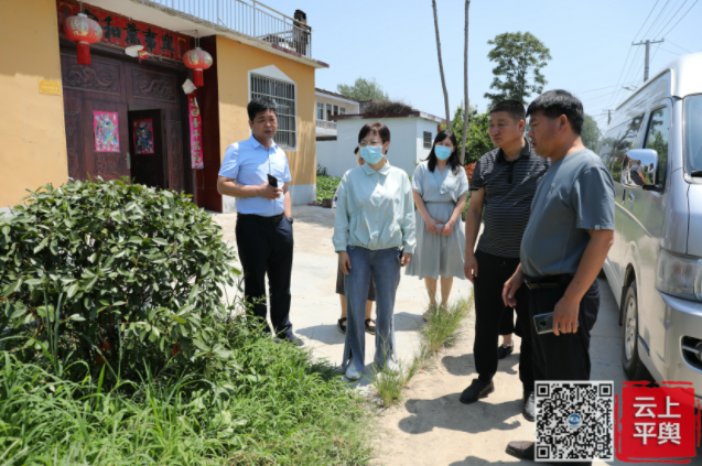 平舆县委常委、宣传部部长、副县长王娟督导检查农村人居环境整治工作