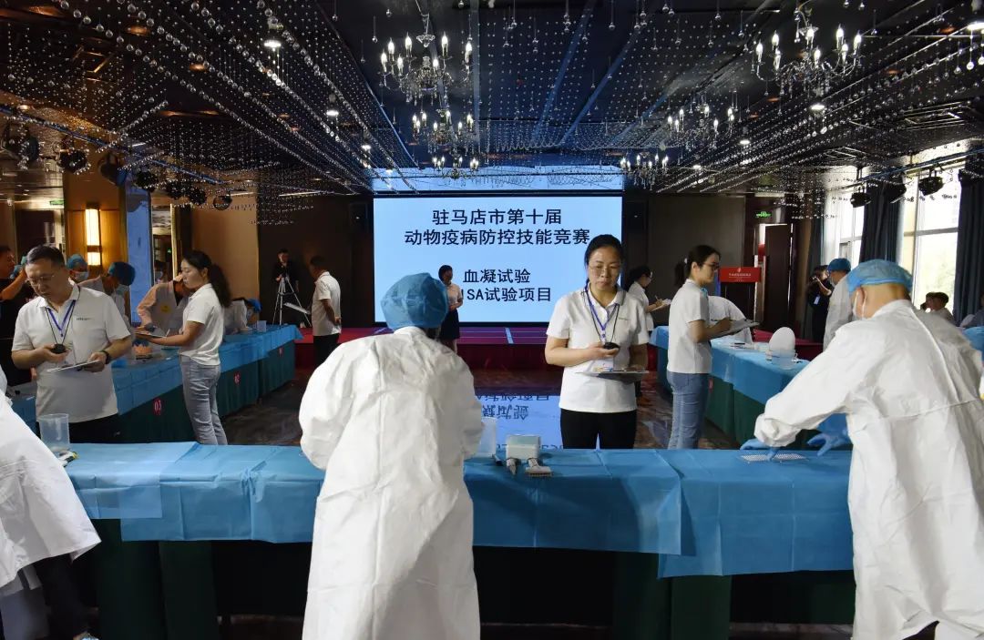 驻马店市第十届动物疫病防控技能竞赛在平舆县举行