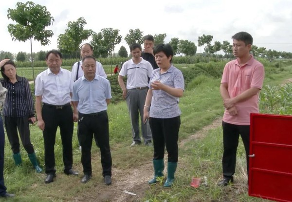 平舆县副县长马全丽调研指导农田水利设施排查整改工作